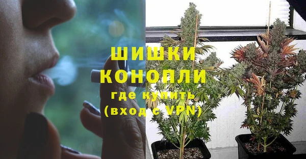 гидра Баксан