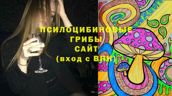гидра Баксан