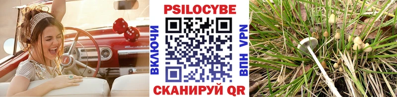 закладка Козьмодемьянск Псилоцибиновые грибы мицелий